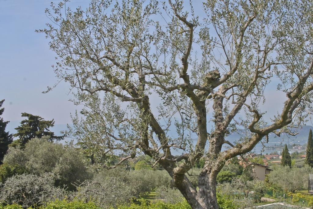 Lovely Villa Elena - Garda Lake Bardolino Luaran gambar